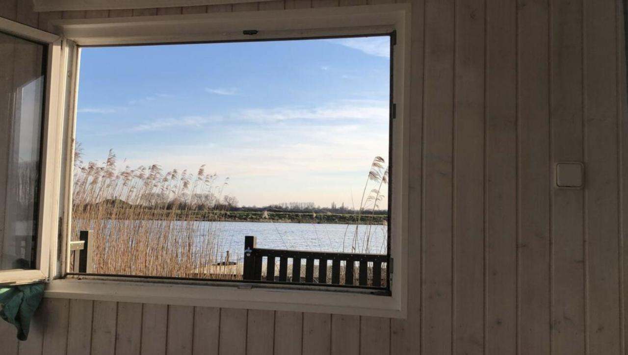 Ausblick